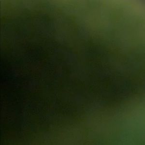 Meet your Posher, Shaunie